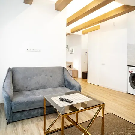 Apartment Castle - Kaunas